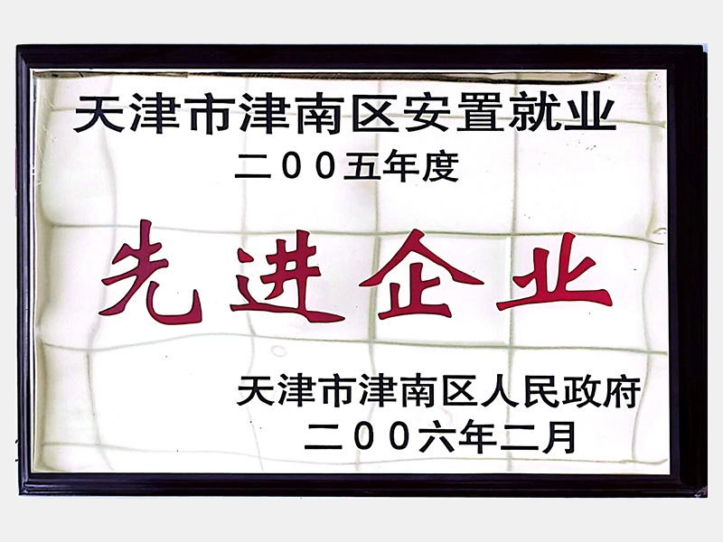 天津市津南區安置就業二OO五年度先進企業