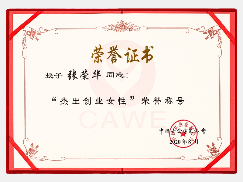 “杰出創業女性”榮譽稱號